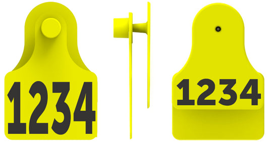 F3M2 Tag Combo