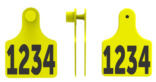 F3M3 Tag Combo