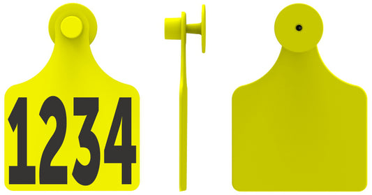 F4M1 Tag Combo
