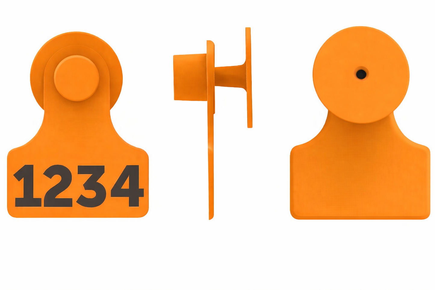 F2M1 Tag Combo