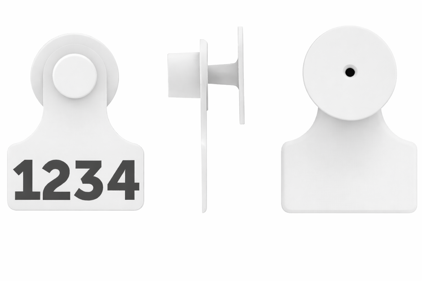 F2M1 Tag Combo